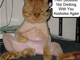 1551543 10151825890861035 538037562 n