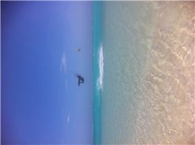 Epic kite road trip exmouth >Perth>syd> Cairns