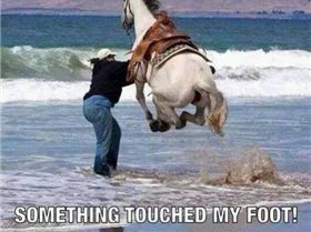 21779d1394630802-lighter-side-part-5-image