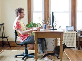 funny-sand-box-desk-cat-pooping