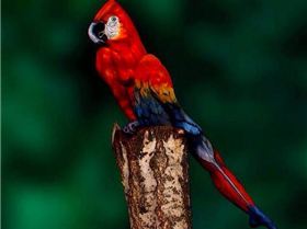 1920589 10152271345382744 1559308522 n