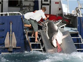 1072452 290354344456097 208906114 o