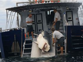 1909429 603417923083128 1655636884 o