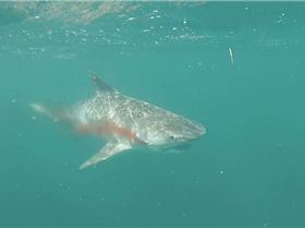 1920034 10152017124942807 562320512 n