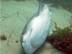 1491657 292828054208726 15153454 n