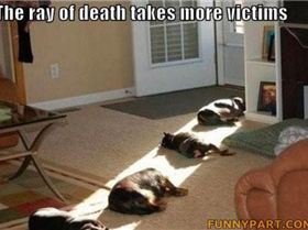 FunnyPart-com-death ray