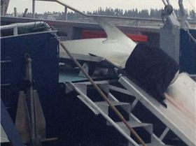 1000976 276897135802994 2036956658 n