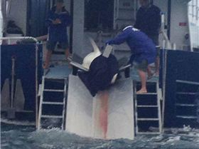 10001350 276897075803000 1626093978 n