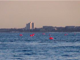 1960778 440695112700006 428102962 o