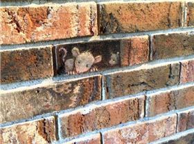 db3cf4b67b4ab185ff6775c21876f903