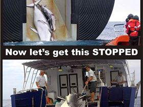 10157333 441134365989414 515178766 n