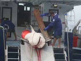 1957706 10154017811875093 1831892667 o