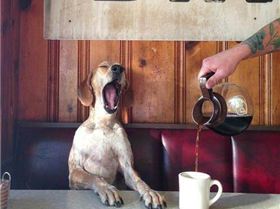 8ca0fb1067dc43f623461e16e1f39677