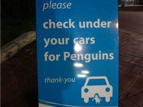 adc742498db845cd184afd13cd498a33