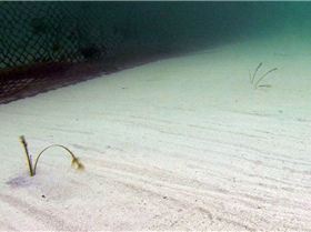 1969376 303882613103270 6642365892692861358 n