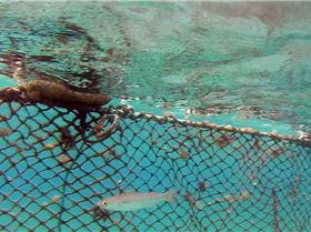 10258655 303882243103307 3319603094893230869 n