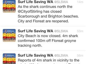 10250079 10152130106183041 2437488303733676280 n