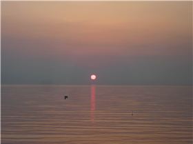 Land of the Rising sun