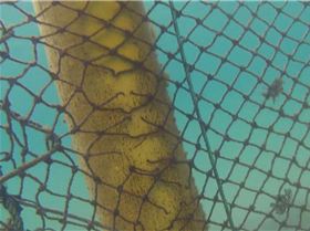 10335672 309565435868321 1403661986 n