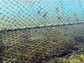 10363627 309562742535257 2116581288 n