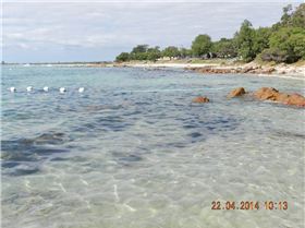 10003927 10154136522735543 2961489503656971355 n