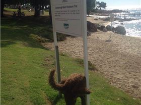 10366283 10203666832570665 3716188945294417643 n