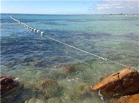 10173659 10203666828410561 2093765341034656100 n