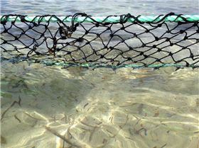 1613864 10203666816770270 8872313720226835386 n