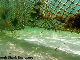 10334452 457848794317971 7280748911066938415 n