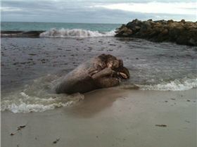 10409399 10152509274979665 2921699327775284954 n