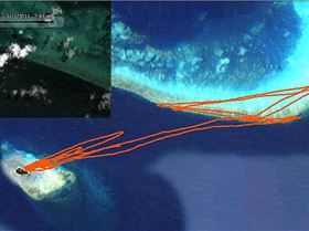 Bob 11-05-11 Green Island