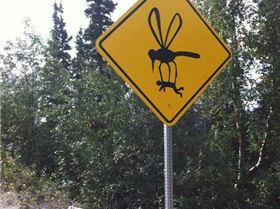 999448 548300508558334 2086652249 n