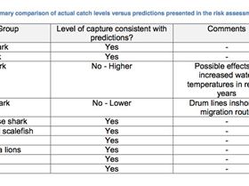 Screen Shot 2014-06-17 at 1.01.47 pm