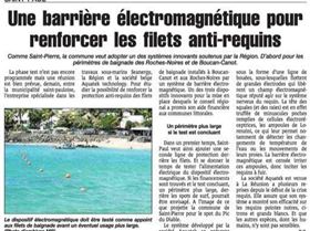 1621744 447689768696367 2077681153 n