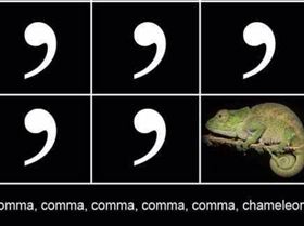 407345 299652316822730 1799697066 n