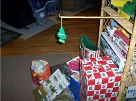 395096 291555540965741 1958277718 n