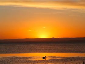 Screen Shot 2014-07-02 at 7.42.26 pm