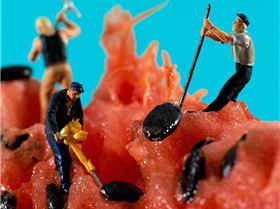 miniam-food-dioramas-pierre-javelle-akiko-ida-9