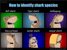 935893 641971979157150 59354718 n