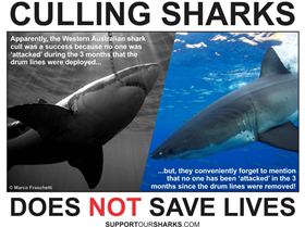 10426808 925007597513109 1432128204290033541 n