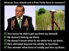 abbott