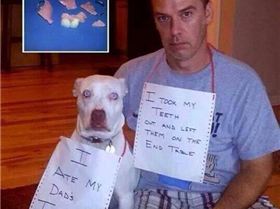 10363952 447487088722469 5849558037849346206 n