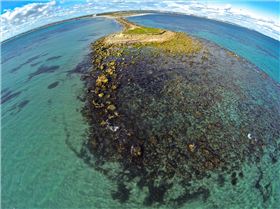 Woodmans Point from above