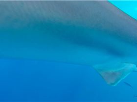 Screen Shot 2014-10-10 at 10.49.32 am