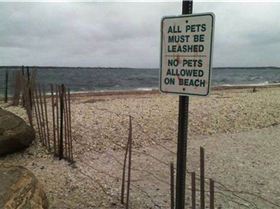 more-pics-with-irony-part2-9