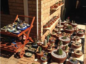 Garden with Shelves 2