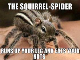 1979666 10152317600698678 2000167260 n