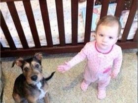 Screenshot 2014-11-19-20-04-02(1)