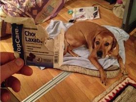 1eb989da888dfb57a8408a6d3b0a606d