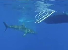 Screen Shot 2014-12-18 at 9.42.16 am